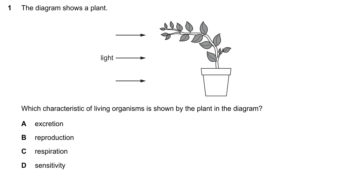 Question 1, November 2019, 0610 Paper 21