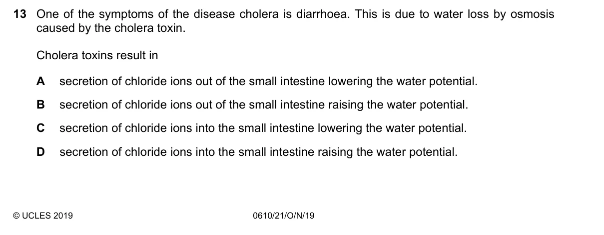 Question 13, November 2019, 0610 Paper 21