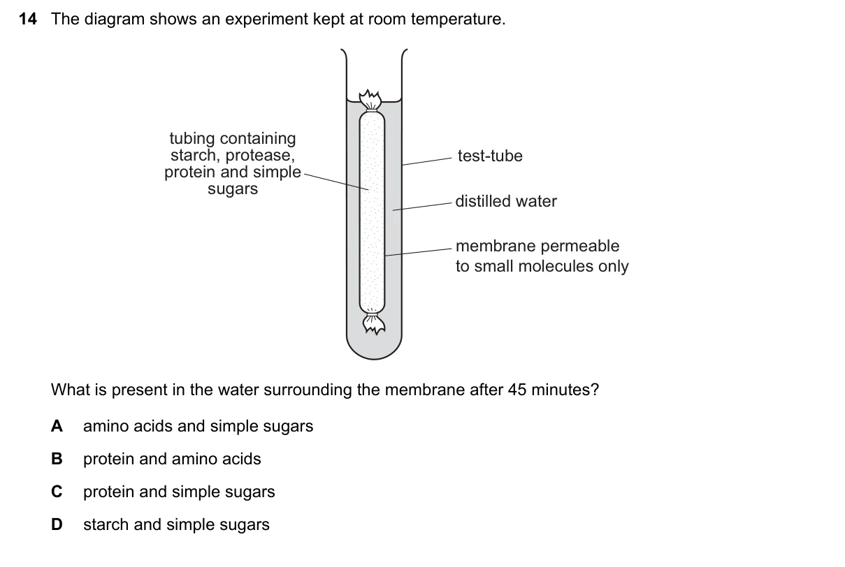 Question 14, November 2019, 0610 Paper 21
