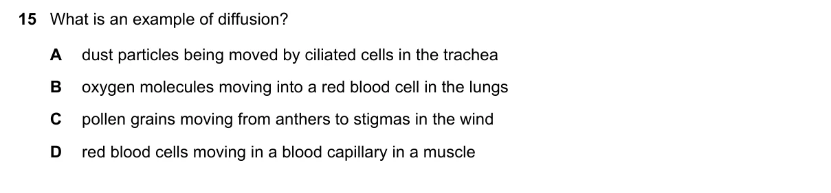 Question 15, November 2019, 0610 Paper 21