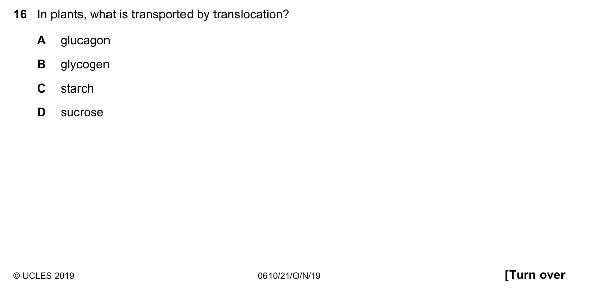 Question 16, November 2019, 0610 Paper 21