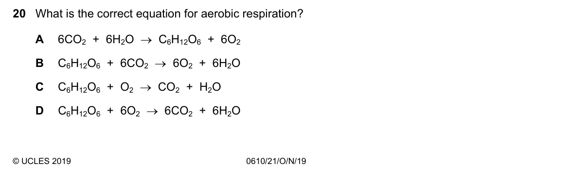 Question 20, November 2019, 0610 Paper 21