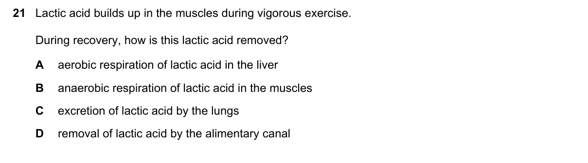 Question 21, November 2019, 0610 Paper 21