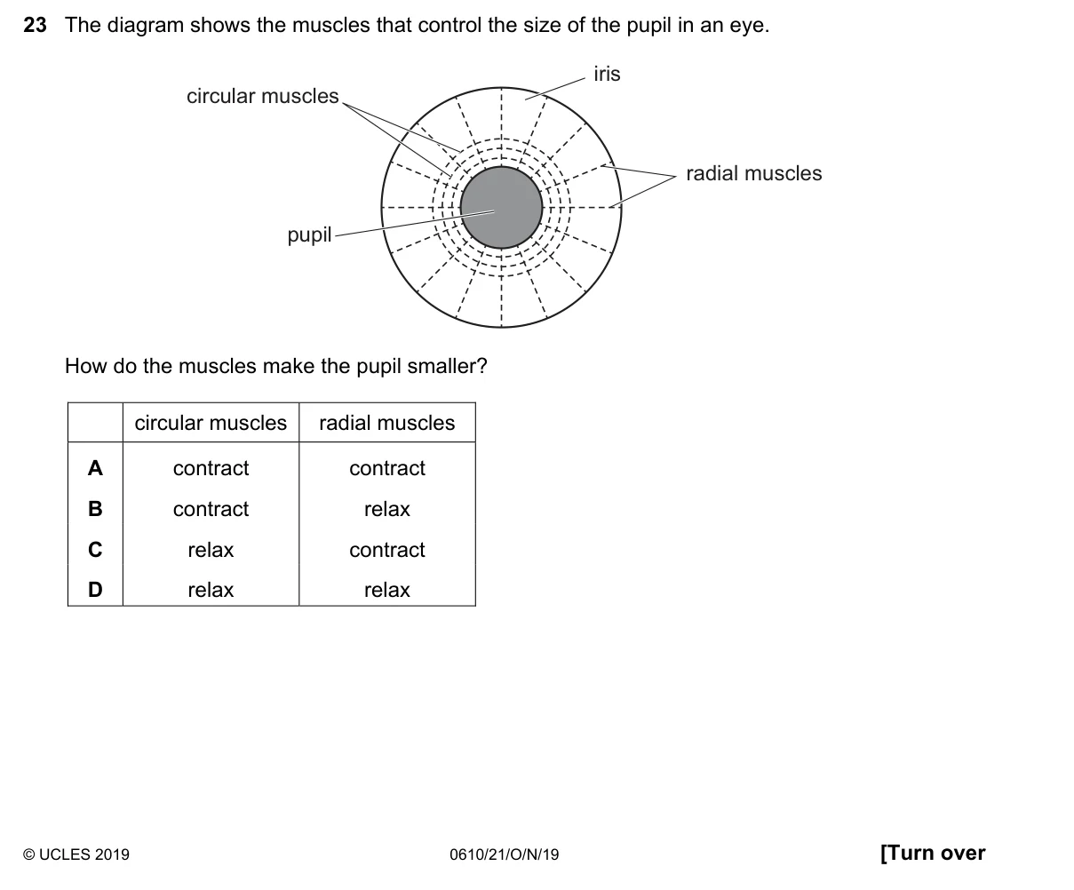 Question 23, November 2019, 0610 Paper 21