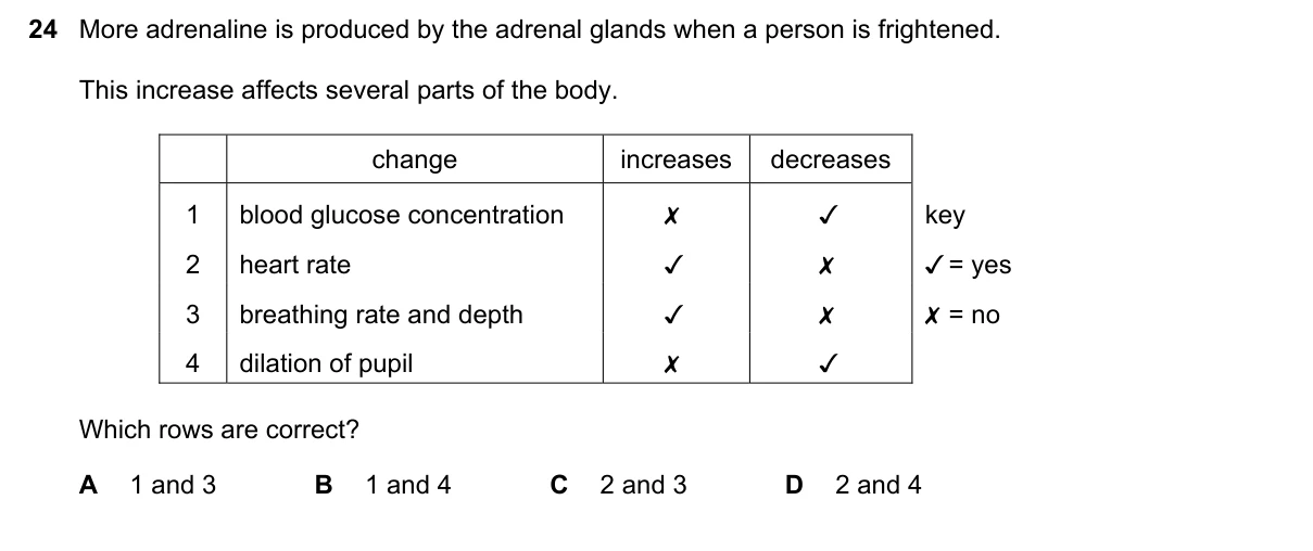 Question 24, November 2019, 0610 Paper 21