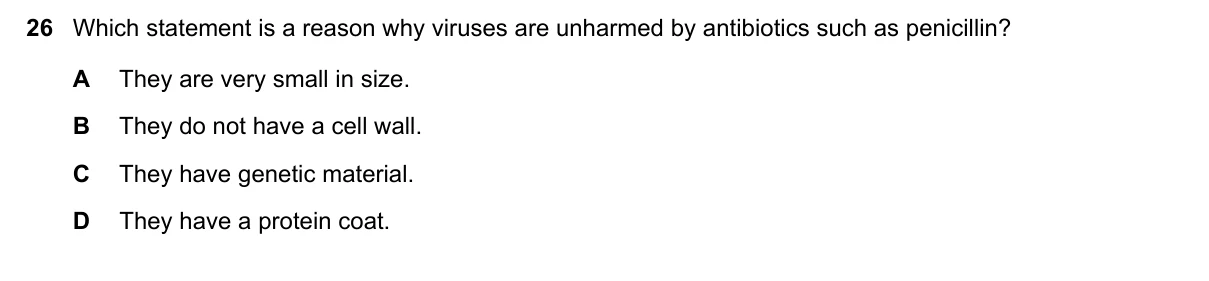 Question 26, November 2019, 0610 Paper 21