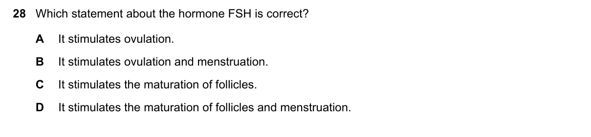 Question 28, November 2019, 0610 Paper 21