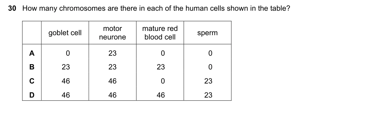 Question 30, November 2019, 0610 Paper 21