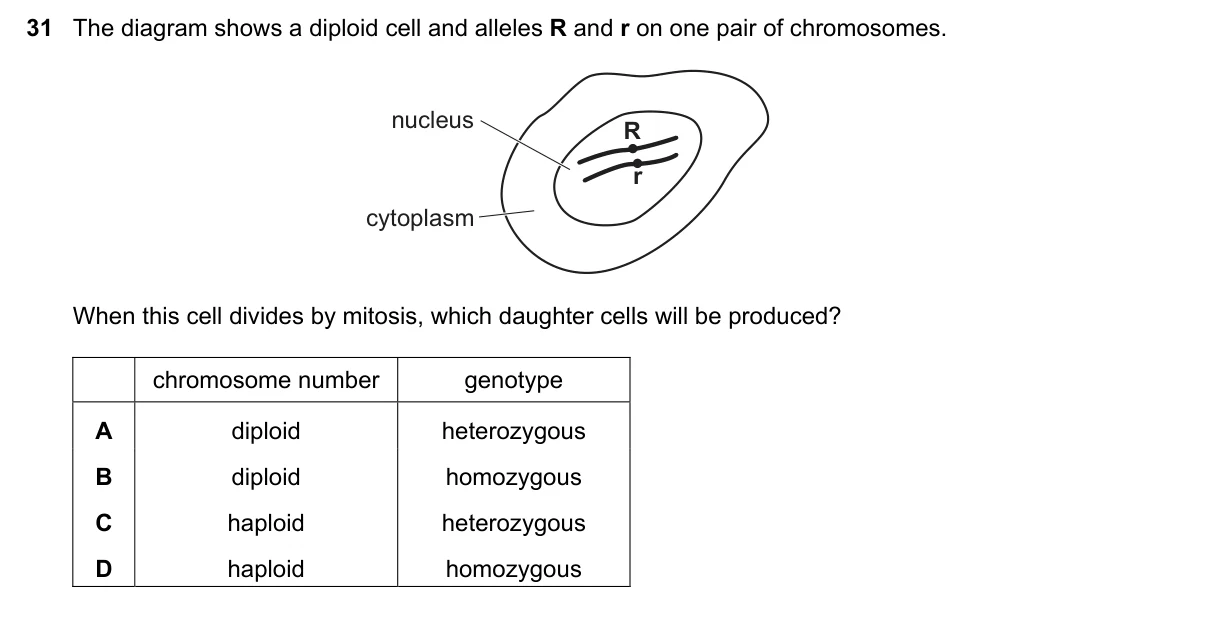 Question 31, November 2019, 0610 Paper 21