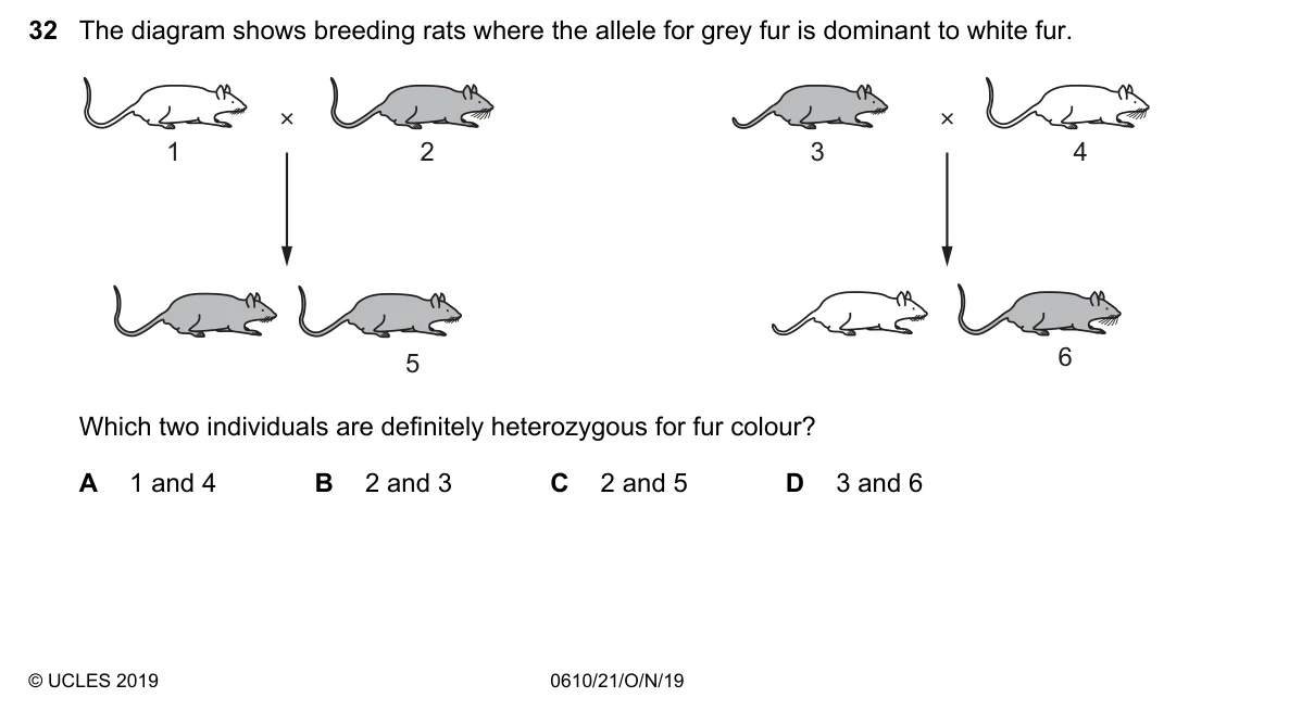 Question 32, November 2019, 0610 Paper 21