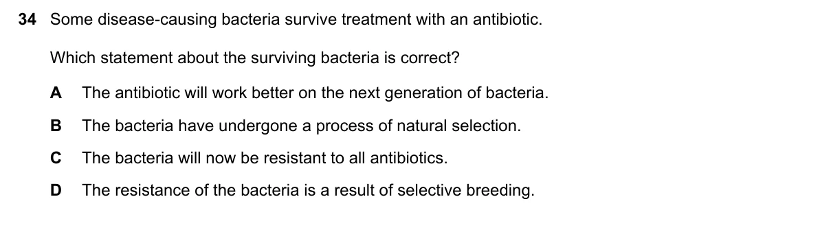 Question 34, November 2019, 0610 Paper 21