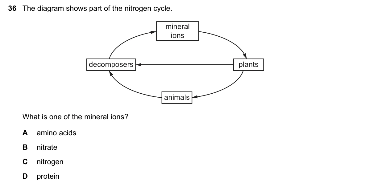 Question 36, November 2019, 0610 Paper 21