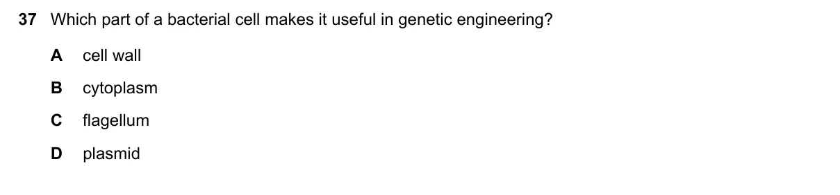Question 37, November 2019, 0610 Paper 21