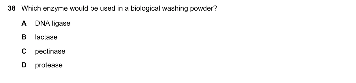 Question 38, November 2019, 0610 Paper 21