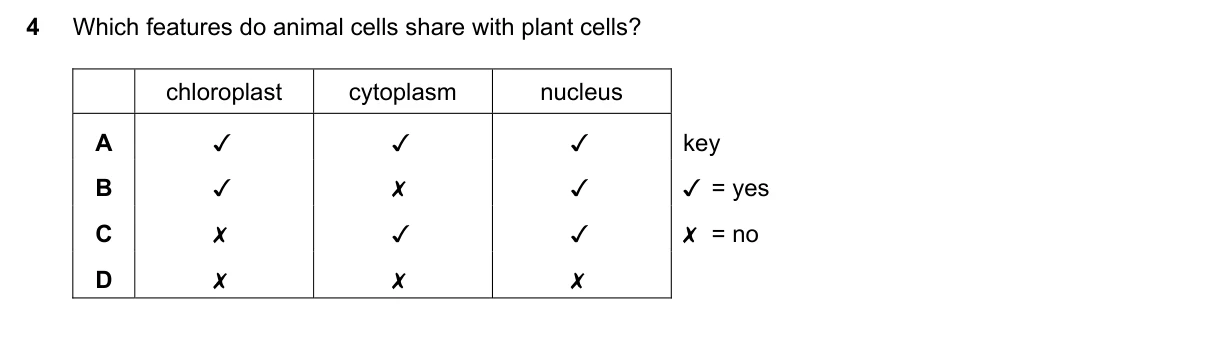 Question 4, November 2019, 0610 Paper 21