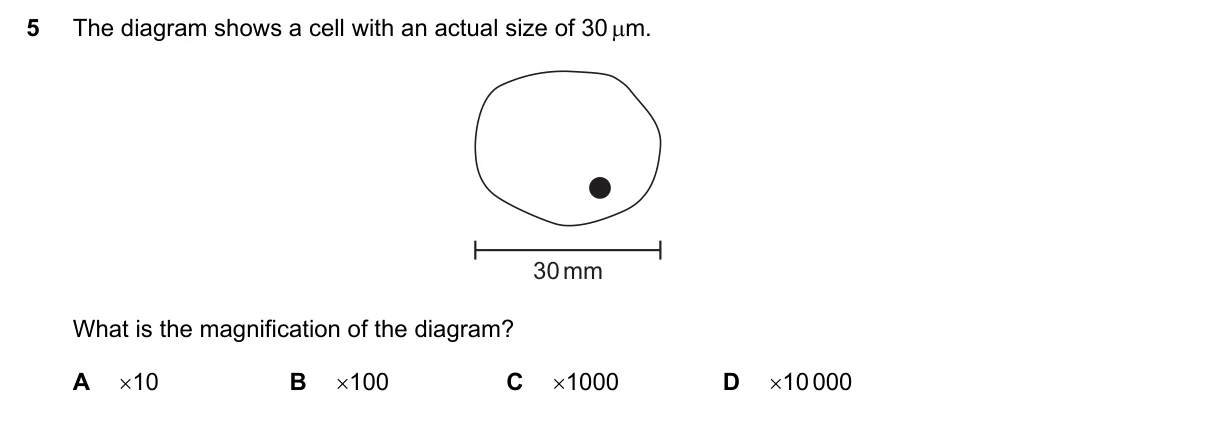 Question 5, November 2019, 0610 Paper 21