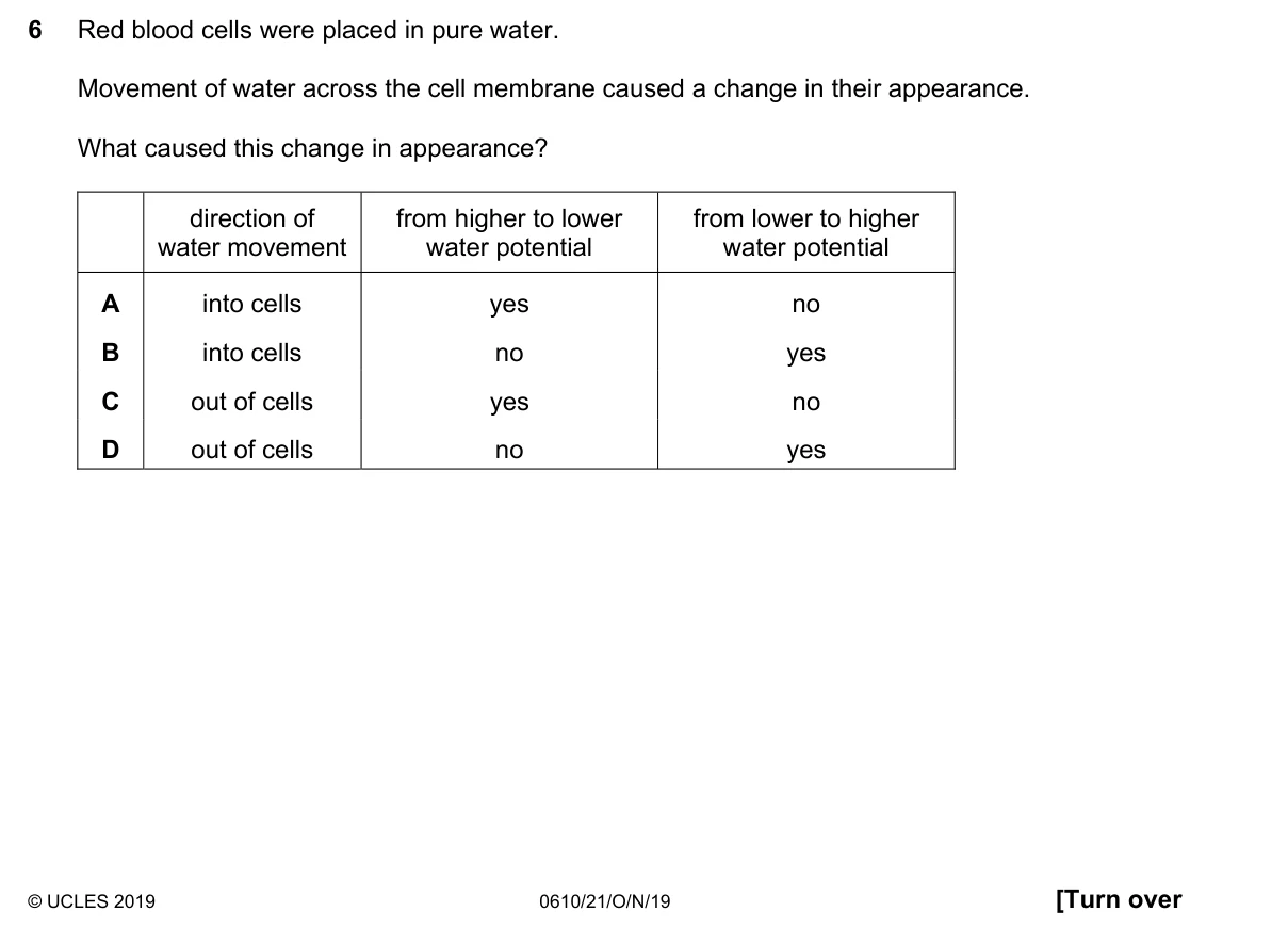 Question 6, November 2019, 0610 Paper 21