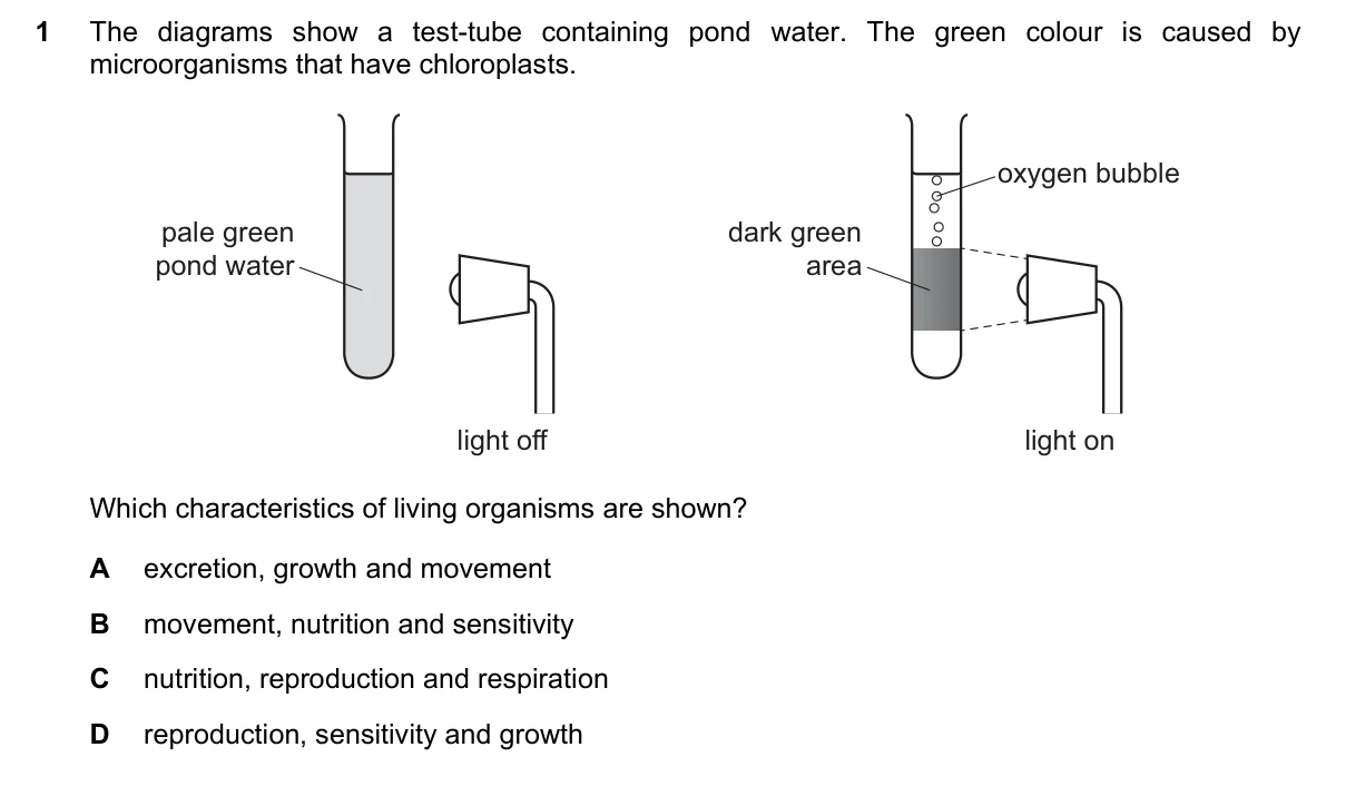 Question 1, November 2019, 0610 Paper 12