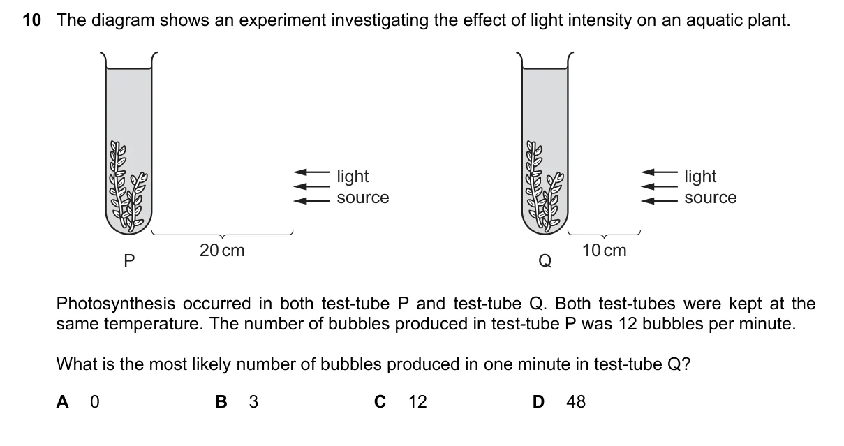 Question 10, November 2019, 0610 Paper 12