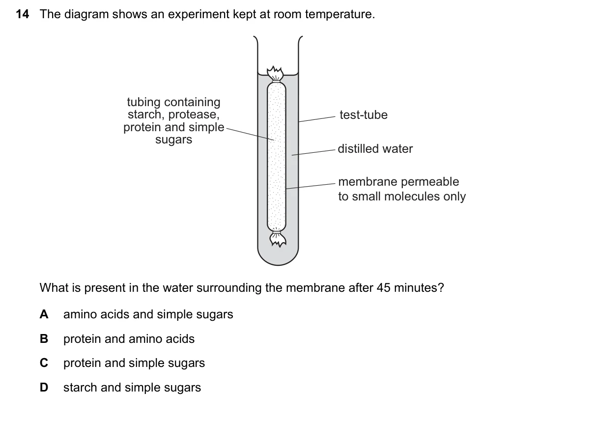 Question 14, November 2019, 0610 Paper 12