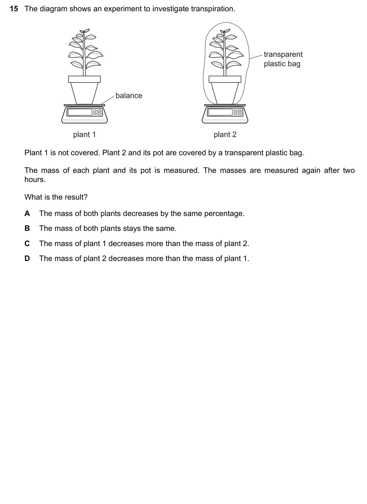 Question 15, November 2019, 0610 Paper 12