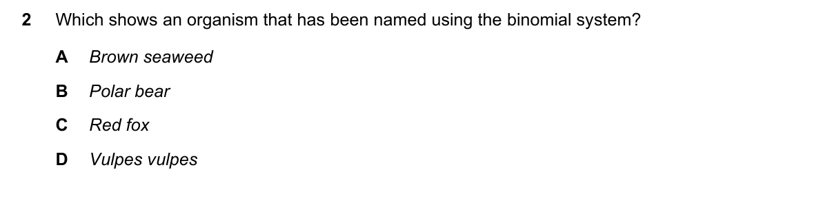 Question 2, November 2019, 0610 Paper 12
