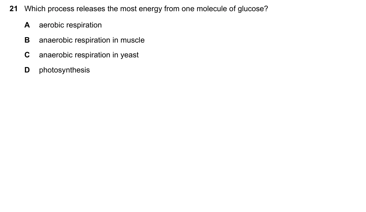 Question 21, November 2019, 0610 Paper 12