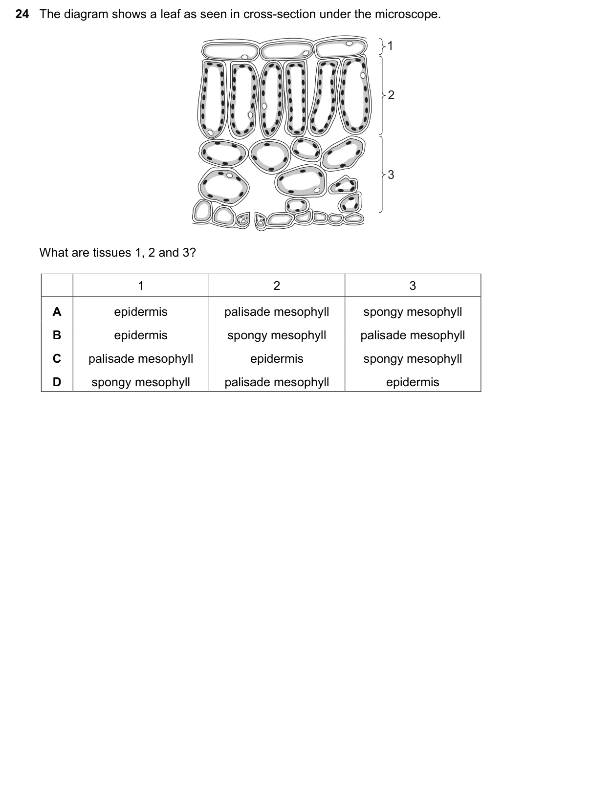 Question 24, November 2019, 0610 Paper 12