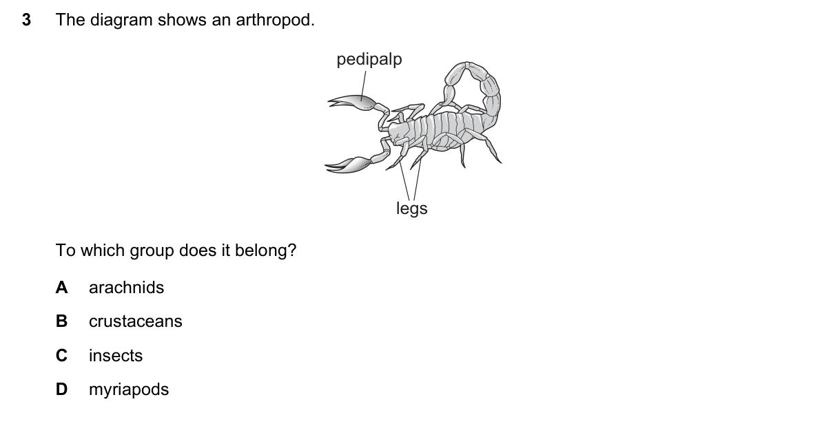 Question 3, November 2019, 0610 Paper 12