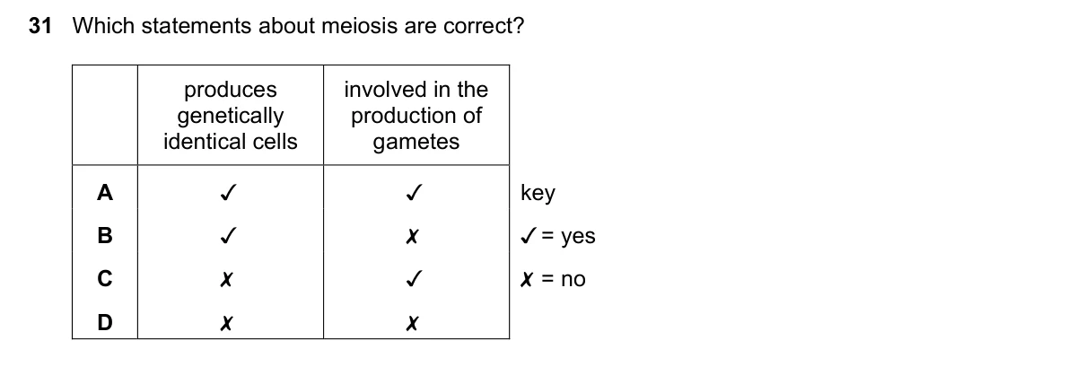 Question 31, November 2019, 0610 Paper 12
