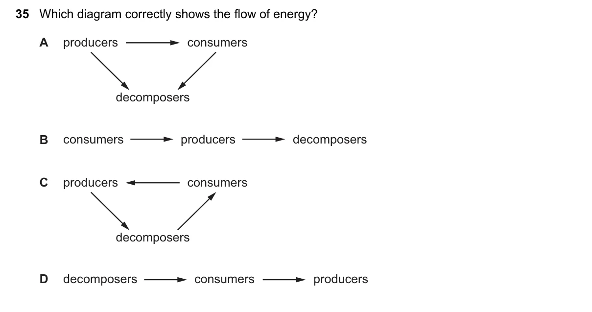 Question 35, November 2019, 0610 Paper 12