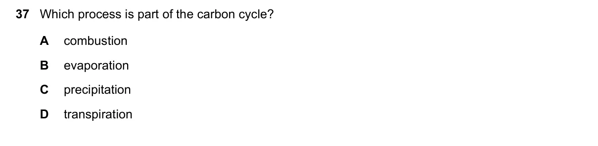 Question 37, November 2019, 0610 Paper 12