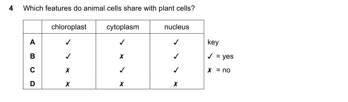 Question 4, November 2019, 0610 Paper 12
