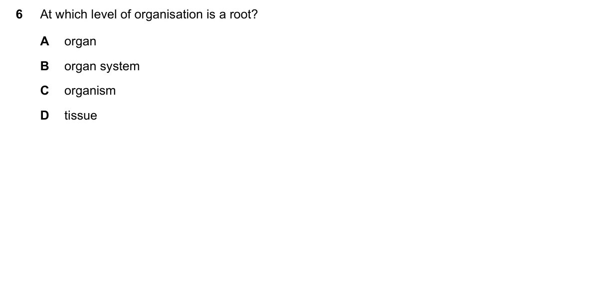 Question 6, November 2019, 0610 Paper 12