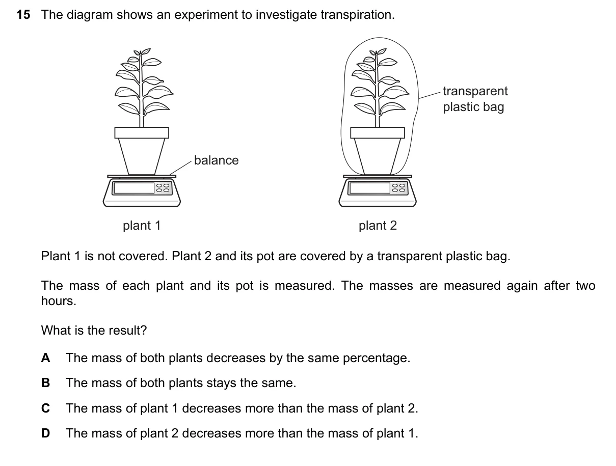 Question 15, November 2019, 0610 Paper 22