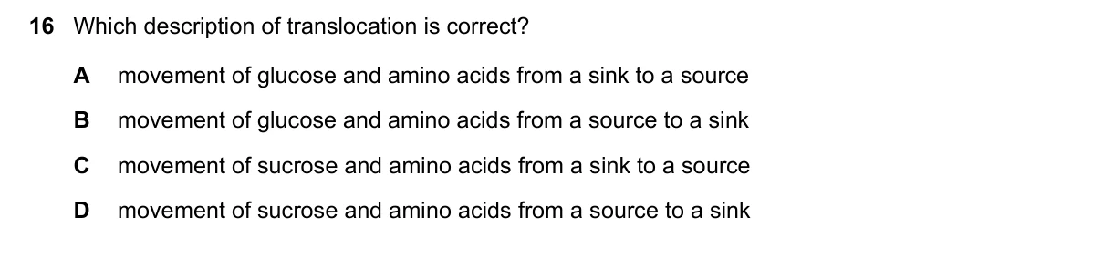 Question 16, November 2019, 0610 Paper 22