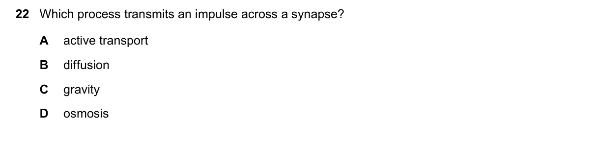 Question 22, November 2019, 0610 Paper 22