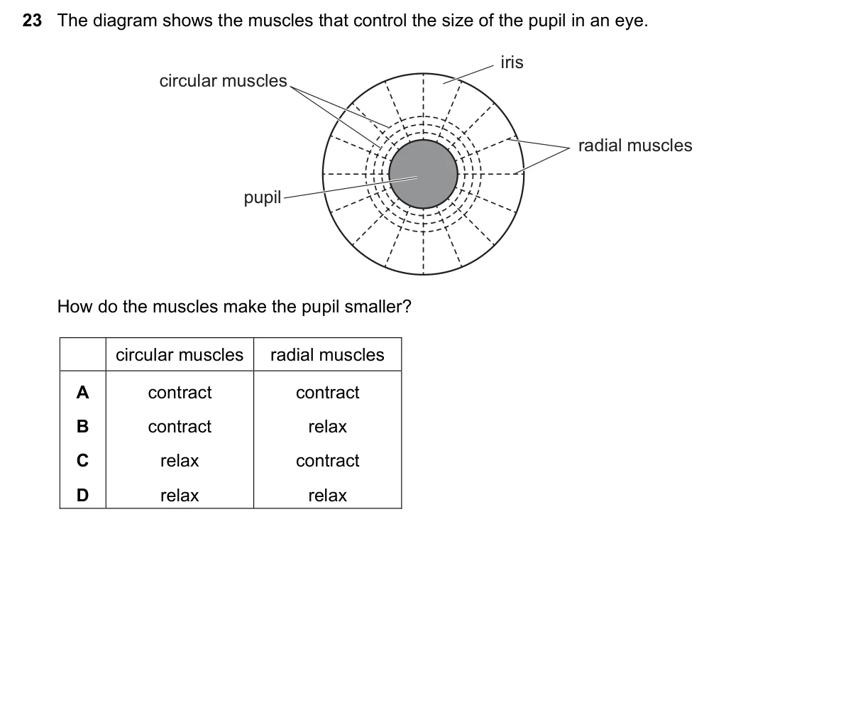 Question 23, November 2019, 0610 Paper 22