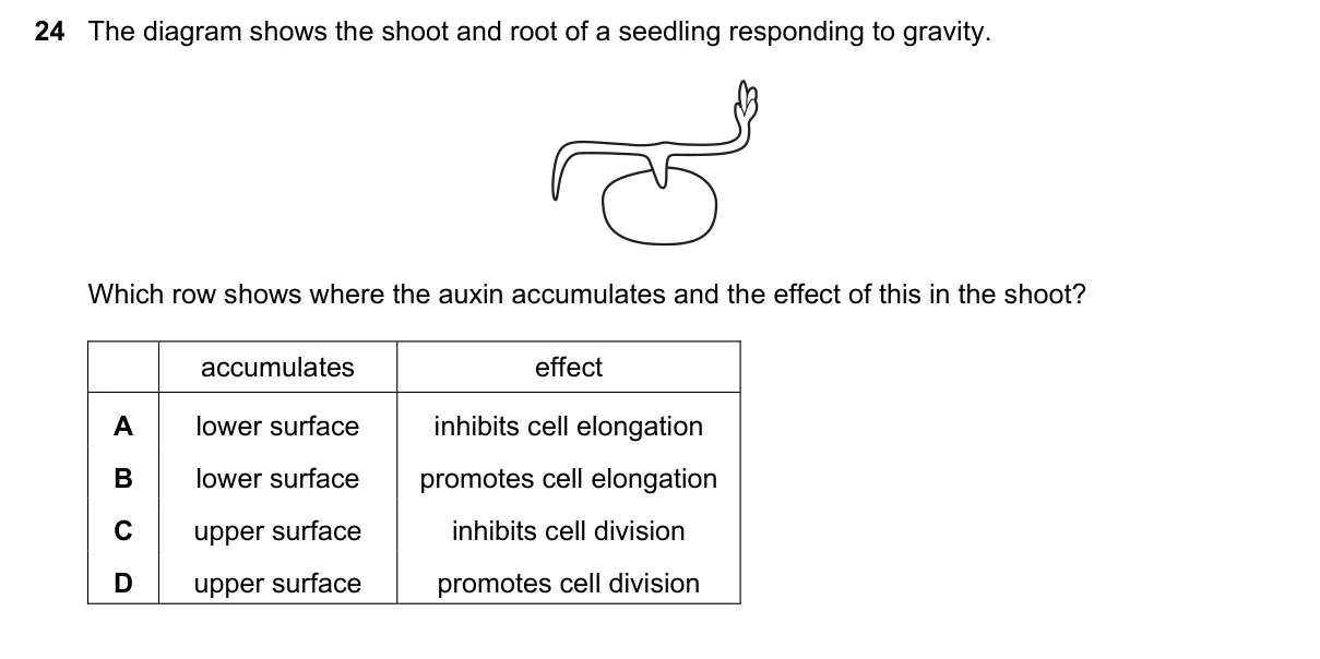 Question 24, November 2019, 0610 Paper 22