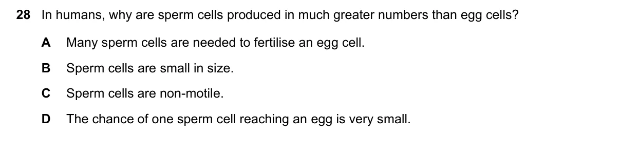 Question 28, November 2019, 0610 Paper 22