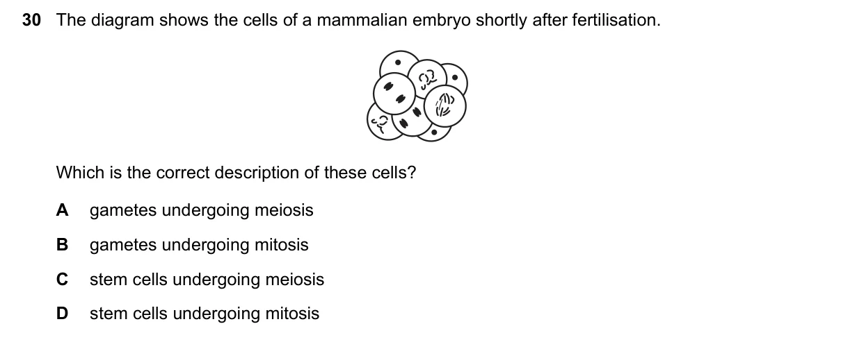 Question 30, November 2019, 0610 Paper 22