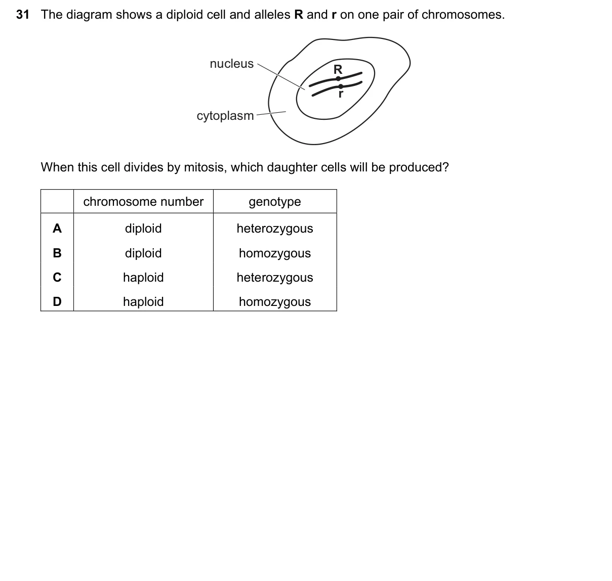 Question 31, November 2019, 0610 Paper 22