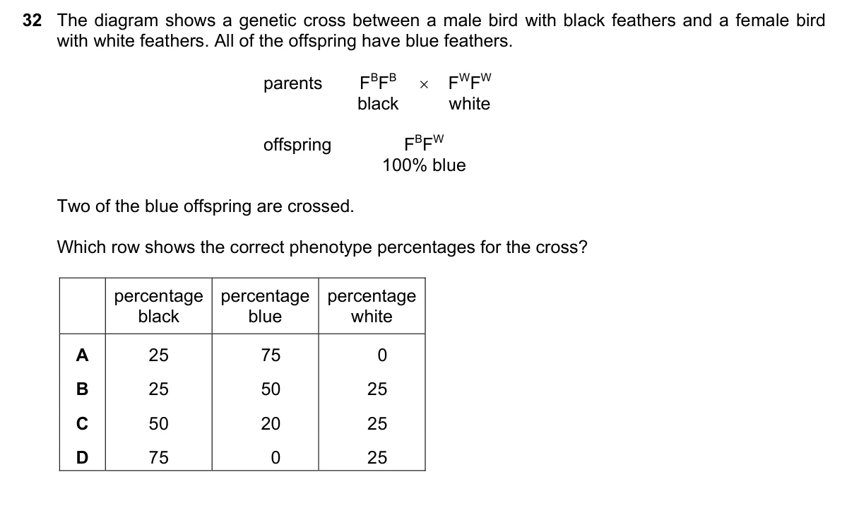 Question 32, November 2019, 0610 Paper 22