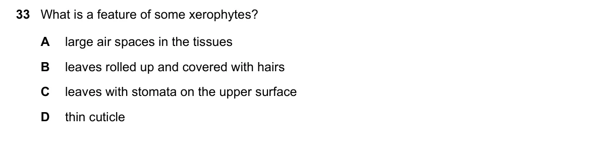 Question 33, November 2019, 0610 Paper 22