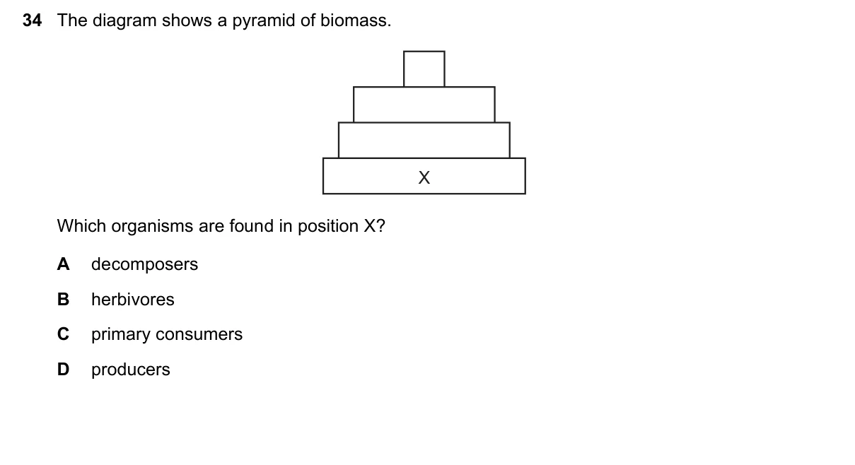 Question 34, November 2019, 0610 Paper 22