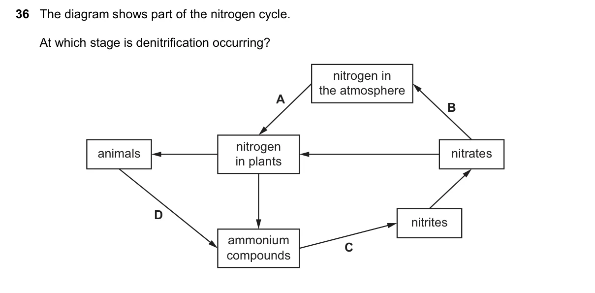 Question 36, November 2019, 0610 Paper 22