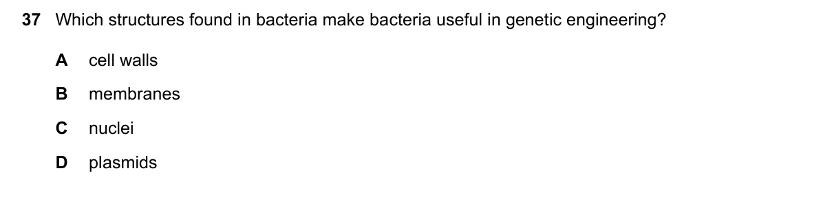 Question 37, November 2019, 0610 Paper 22