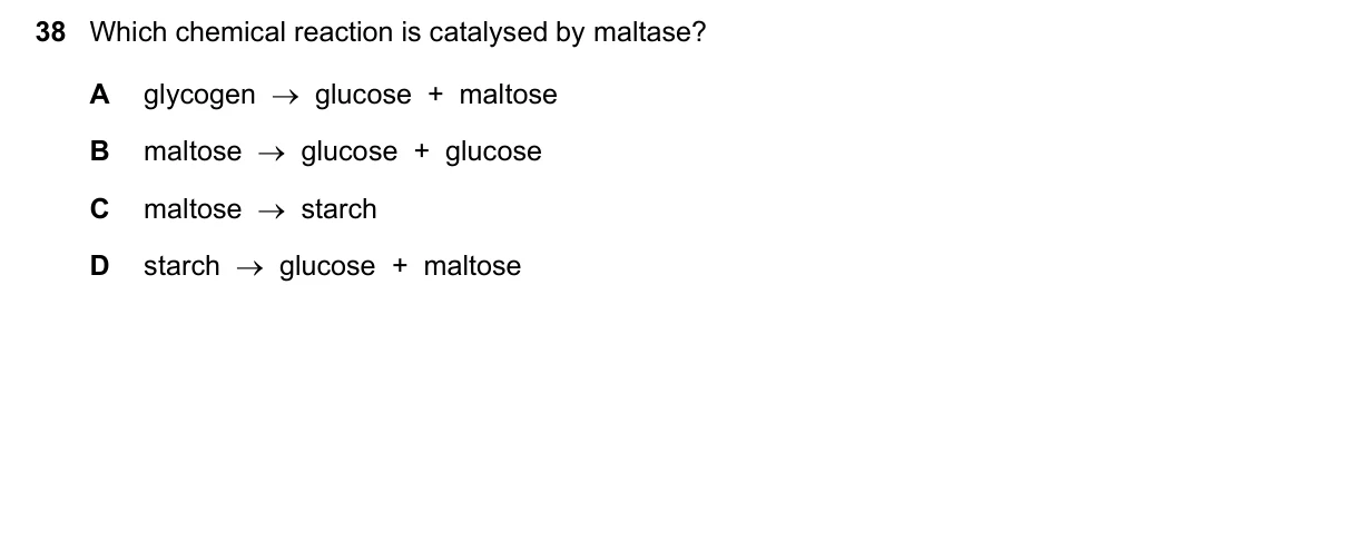Question 38, November 2019, 0610 Paper 22
