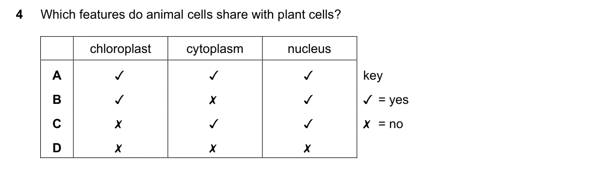 Question 4, November 2019, 0610 Paper 22
