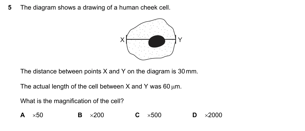 Question 5, November 2019, 0610 Paper 22